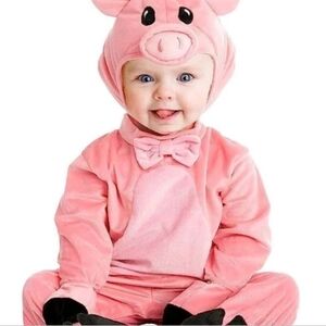 SPOOKTACULAR Pig piglet baby infant 6-12 months adorable costume Halloween